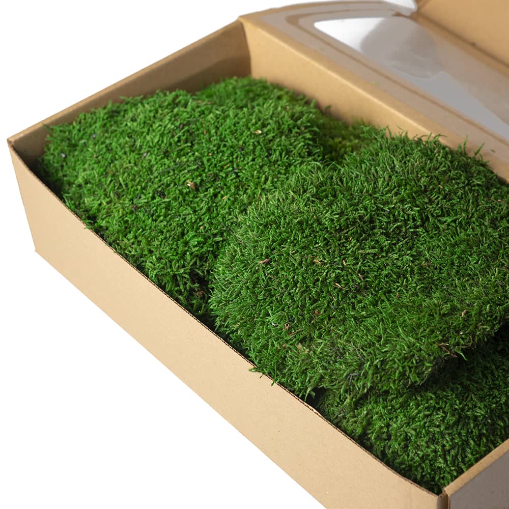 badu_moss_koyuyesil_1